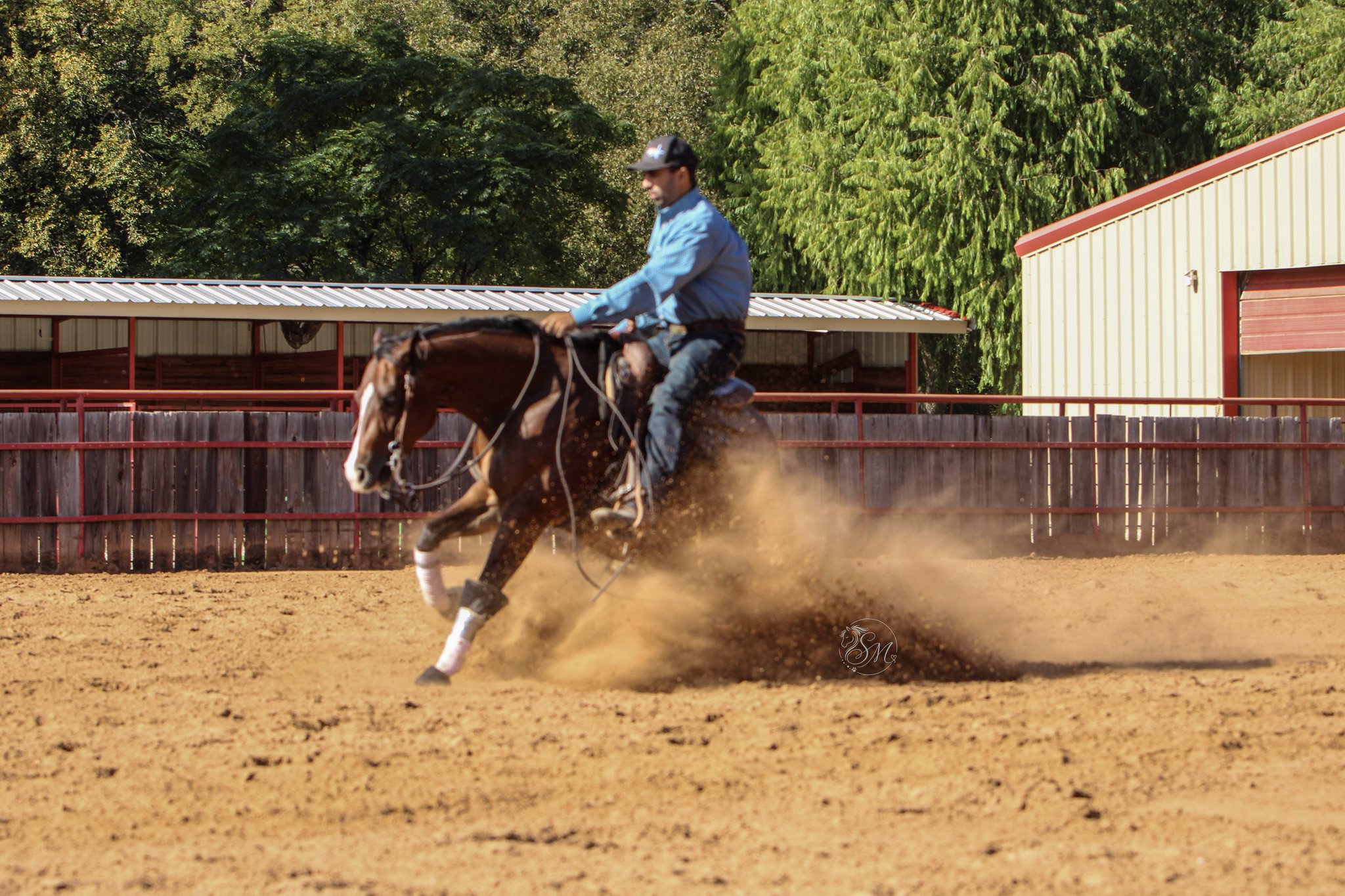 Vincienzo Santos riding Louie, a bay horse, in a sliding stop in an outdoor arena